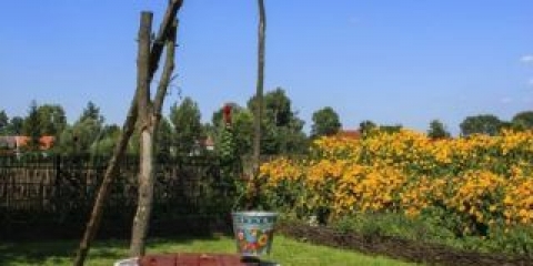 Bunar dizalica: kako to učiniti sami + fotografije u pejzažu